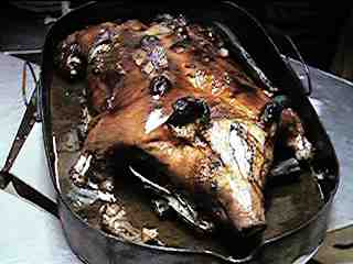 Porcella amb déntol